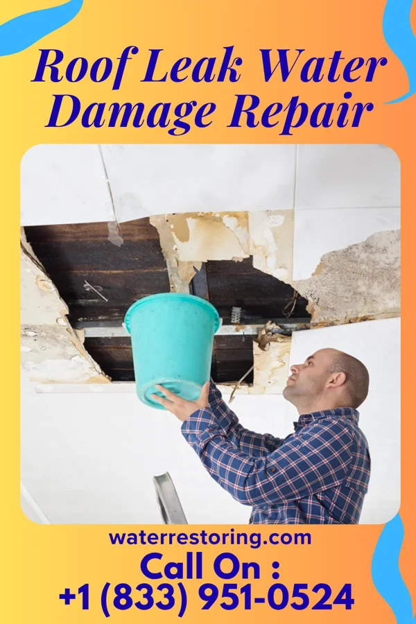 Roof Leak Water Damage Repair in Huntsville, UT